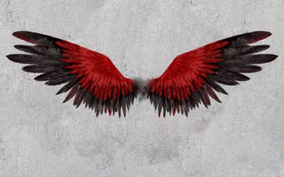 Red Wings Old Wall Background Peel and Stick Australia Wallpaper - Luzen&Co