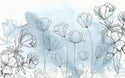 Sky Background Poppy Wallpaper