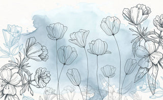 Sky Background Poppy Wallpaper