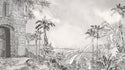 Tropical Self adhesive Wallpaper Peel and stick wallpaper in Australia - Luzen&Co
