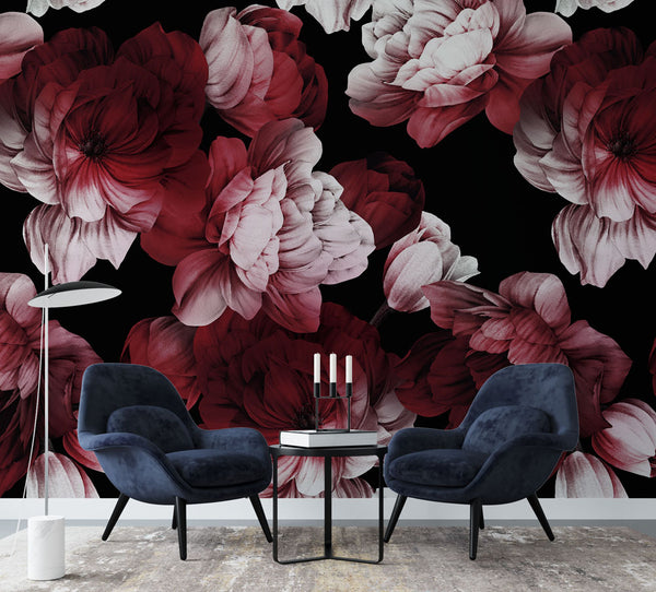 Pink and Red Roses Wallpaper