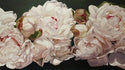 Floral Peel and stick Wallpaper