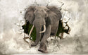 Elephant Crashes Wall Mural Wallpaper - Luzen&Co