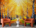Autumn in the Forest Self adhesive Wallpaper