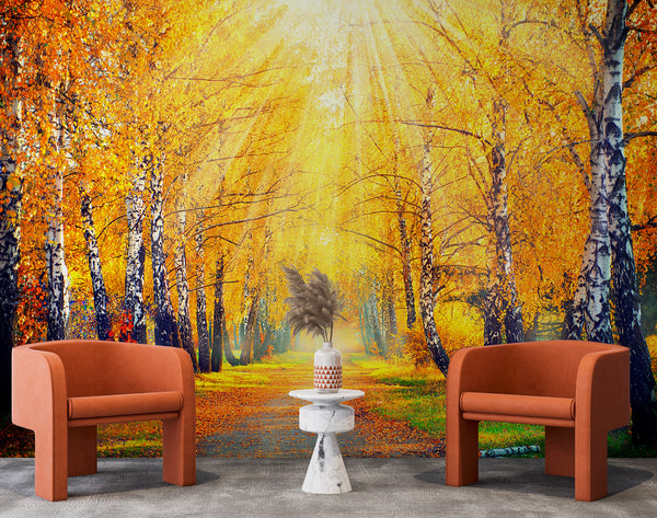 Autumn in the Forest Self adhesive Wallpaper