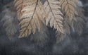 Dry Leaves Self adhesive Wallpaper