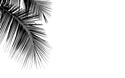 Tropical Forest Self adhesive Wallpaper Peel and stick wallpaper - Luzen&Co
