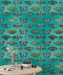 Butterflies Green Background Wallpaper Luzenandco Wallpaper shop in Sydney Australia Luzen&co