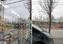 Bird Collision Prevention Window Film Luzen&co window tinting shop Australia 
