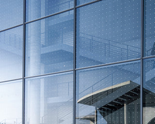 Bird Collision Prevention Window Film Luzen&co window tinting shop Australia 