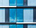 Bird Collision Prevention Window Film Luzen&co window tinting shop Australia 