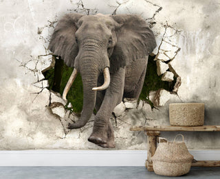 Elephant Crashes Wall Mural Wallpaper - Luzen&Co