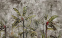 Banana Forest With Shades Self Adhesive Wallpaper