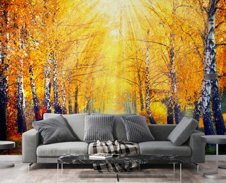 Autumn in the Forest Self adhesive Wallpaper