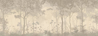 Sunset Outlook Mystic Forest Wallpaper