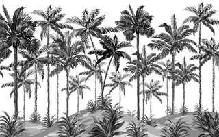 Black And White Palm Trees Self Adhesive wallpaper