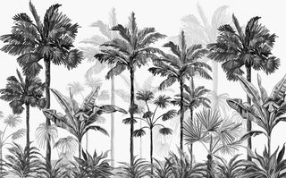 Black And White Tropical Peel and Stick wallpaper