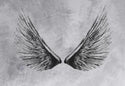 Gray Background Black Wings Wall Mural Wallpaper -luzen and co