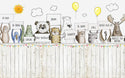 Kids Peel and Stick wallpaper Self adhesive wallpaper -Luzen&Co