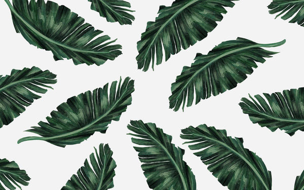 Green Tropical Peel and Stick wallpaper